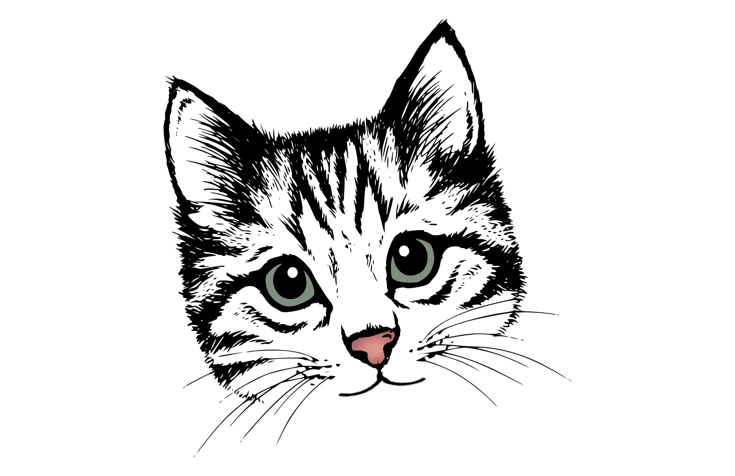 Icon einer Katze namens Batz